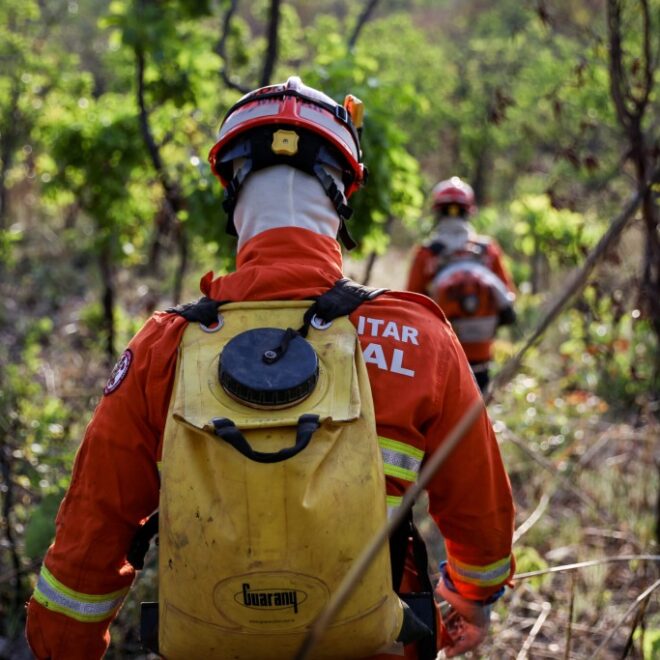 Bombeiros de MT combatem 31 incêndios florestais nesta terça-feira (17)